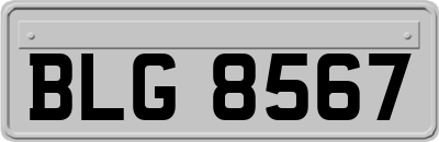 BLG8567
