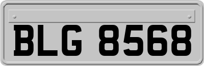BLG8568