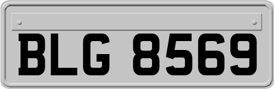 BLG8569