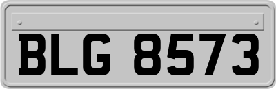BLG8573