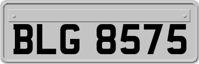 BLG8575