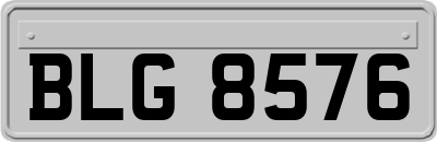 BLG8576