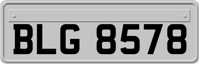 BLG8578