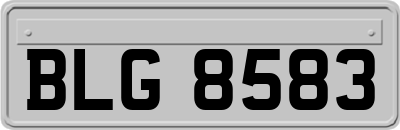 BLG8583