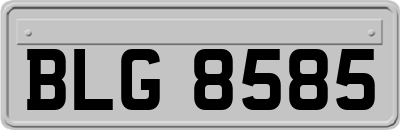 BLG8585