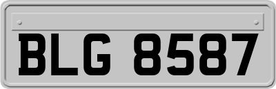 BLG8587
