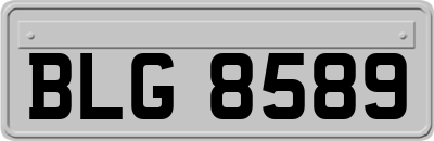 BLG8589