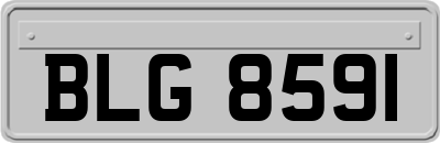 BLG8591