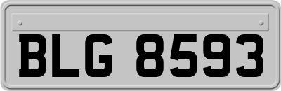 BLG8593