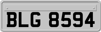 BLG8594
