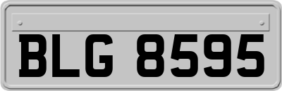 BLG8595