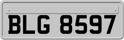 BLG8597