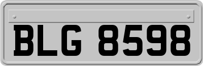 BLG8598