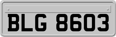 BLG8603