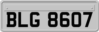 BLG8607