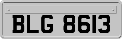 BLG8613