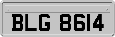 BLG8614