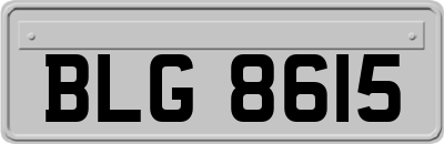 BLG8615