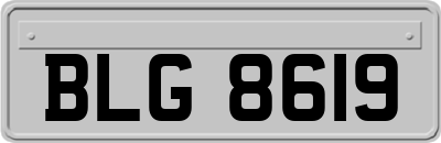 BLG8619
