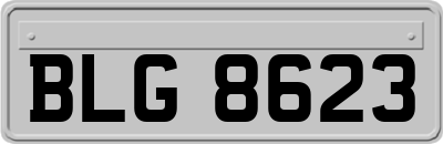 BLG8623