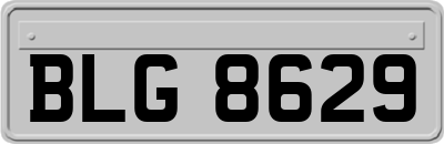 BLG8629