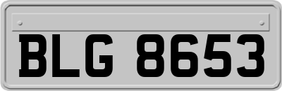 BLG8653