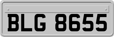 BLG8655