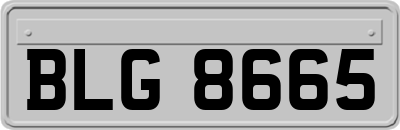 BLG8665