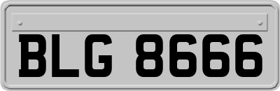 BLG8666