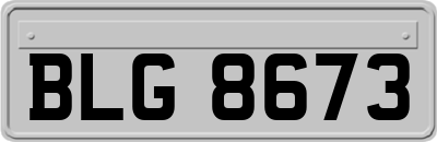 BLG8673
