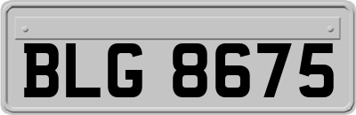 BLG8675