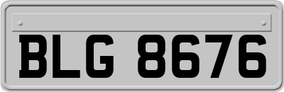 BLG8676