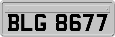 BLG8677