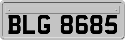 BLG8685