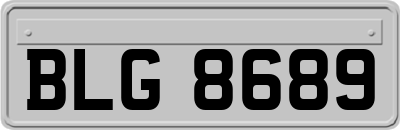 BLG8689