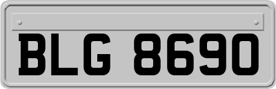 BLG8690