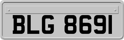 BLG8691
