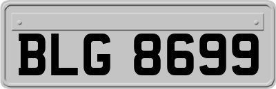 BLG8699