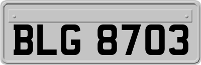 BLG8703