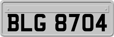 BLG8704