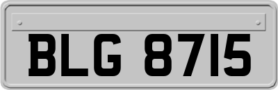 BLG8715