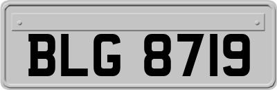 BLG8719