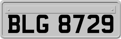 BLG8729