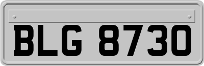 BLG8730
