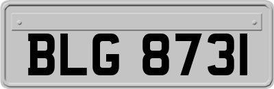 BLG8731