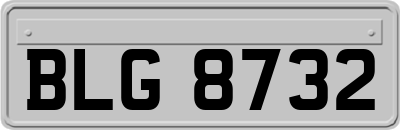 BLG8732