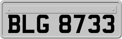 BLG8733