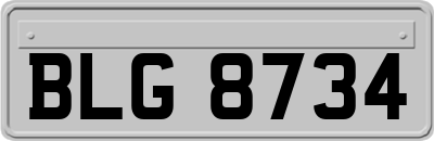 BLG8734