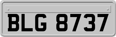 BLG8737