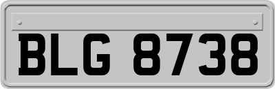 BLG8738